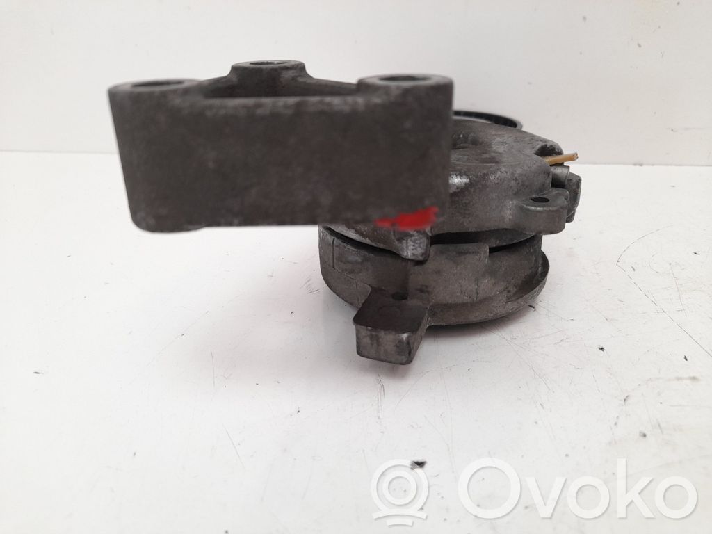Seat Altea Întinzător curea generator/alternator 