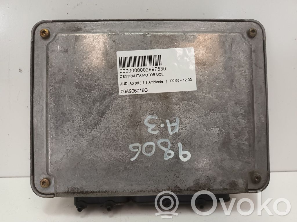 Centralina/modulo del motore   06A906018C