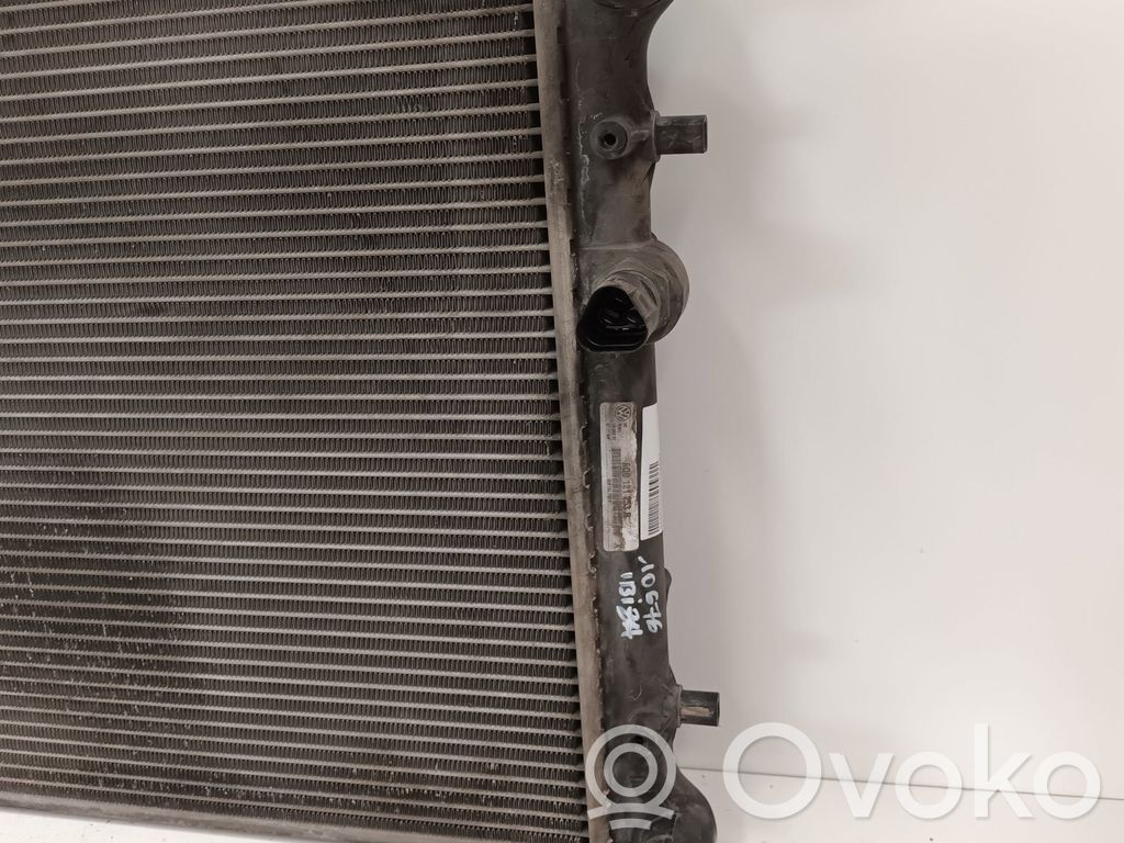 Seat Ibiza III (6L) Radiator lichid răcire