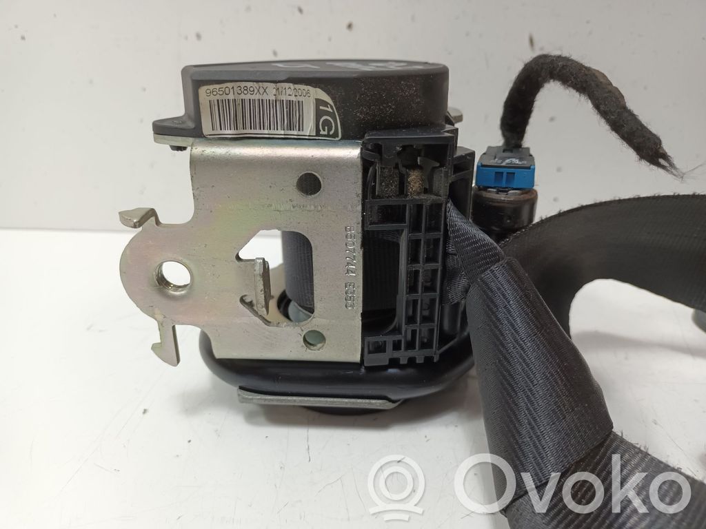 Cinturón delantero   96501389XX