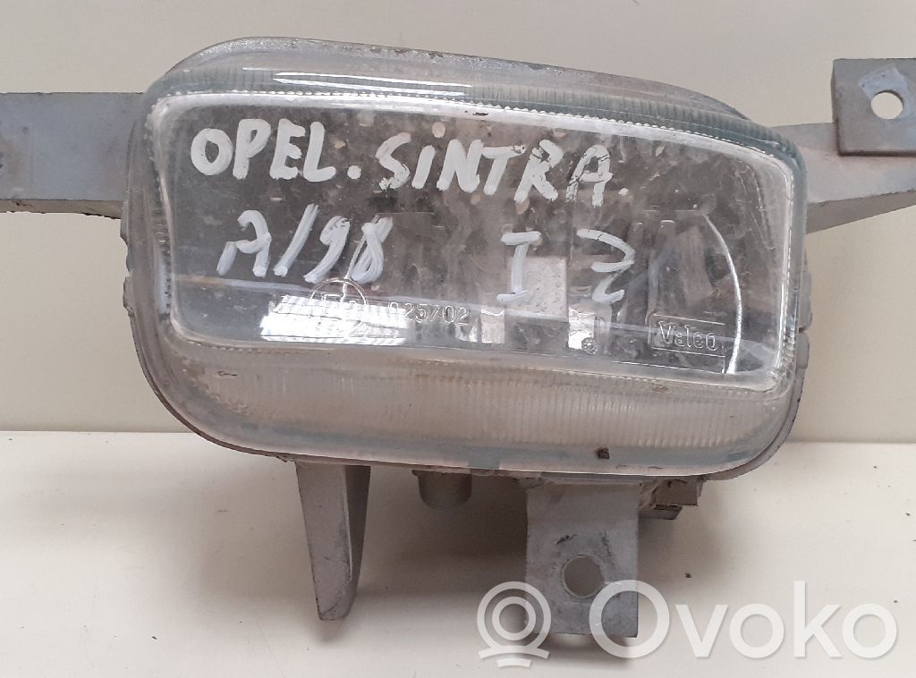 Luz de niebla delantera   10254875