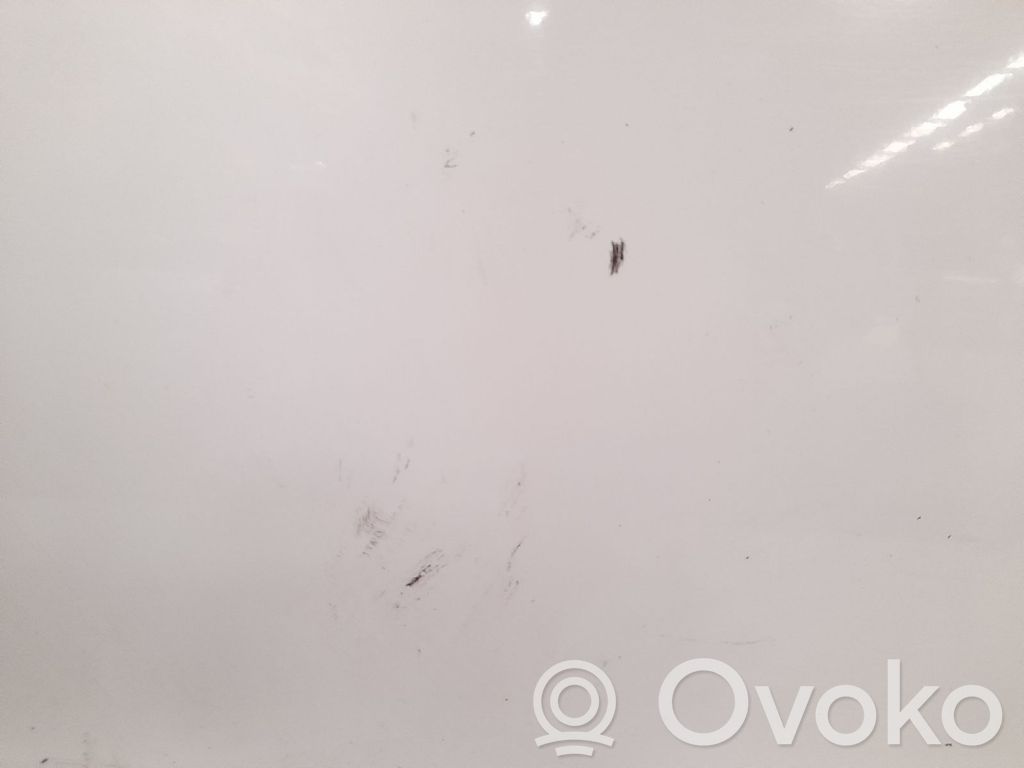 Daewoo Lanos Puerta delantera 