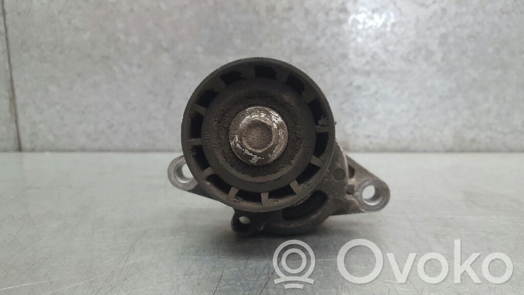Întinzător curea generator/alternator   7700102872