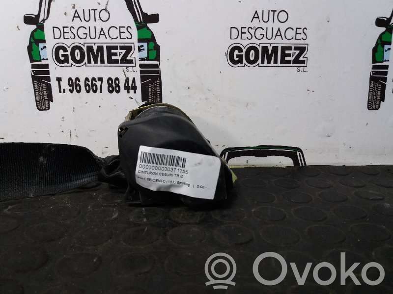 Cinturón trasero