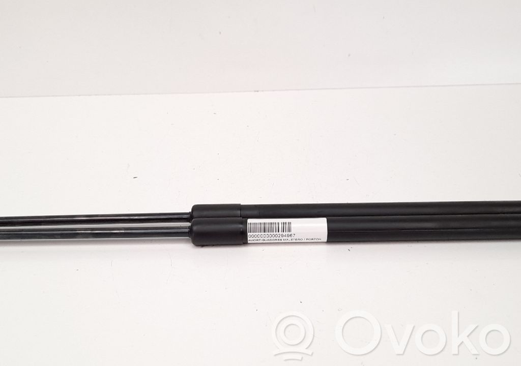 Amortizor hayon   D65162620