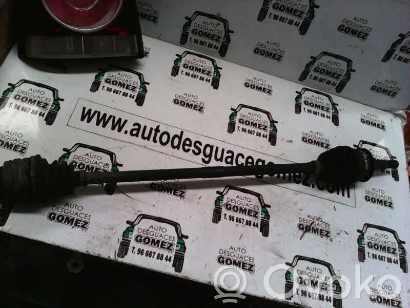 Semiasse anteriore   24427064