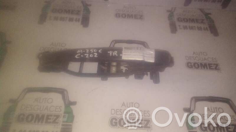 Manecilla externa puerta trasera   2027601370