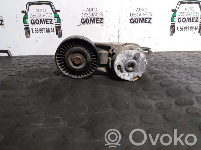 Tendicinghia generatore/alternatore   24430296