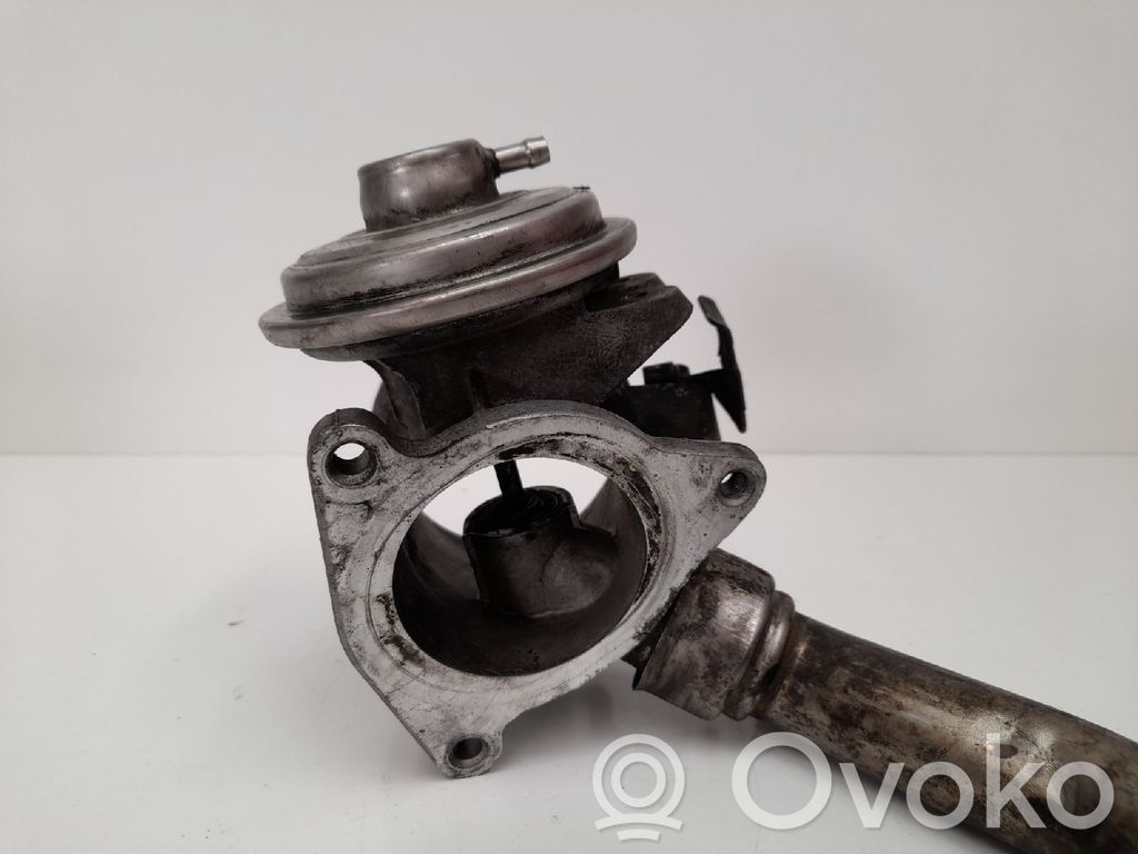 Válvula EGR   6110900754