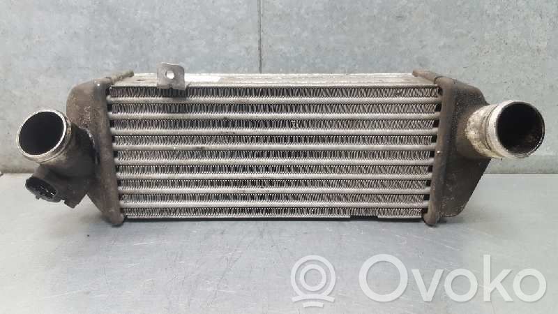 Radiator intercooler   282712A710