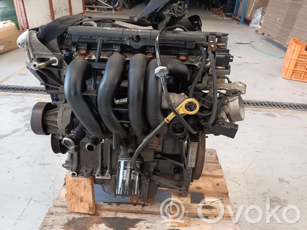 Ford Puma Variklis 