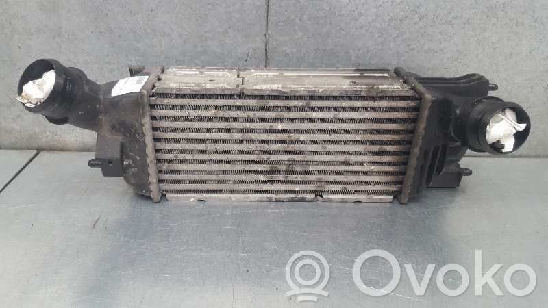 Peugeot 407 Radiatore intercooler 