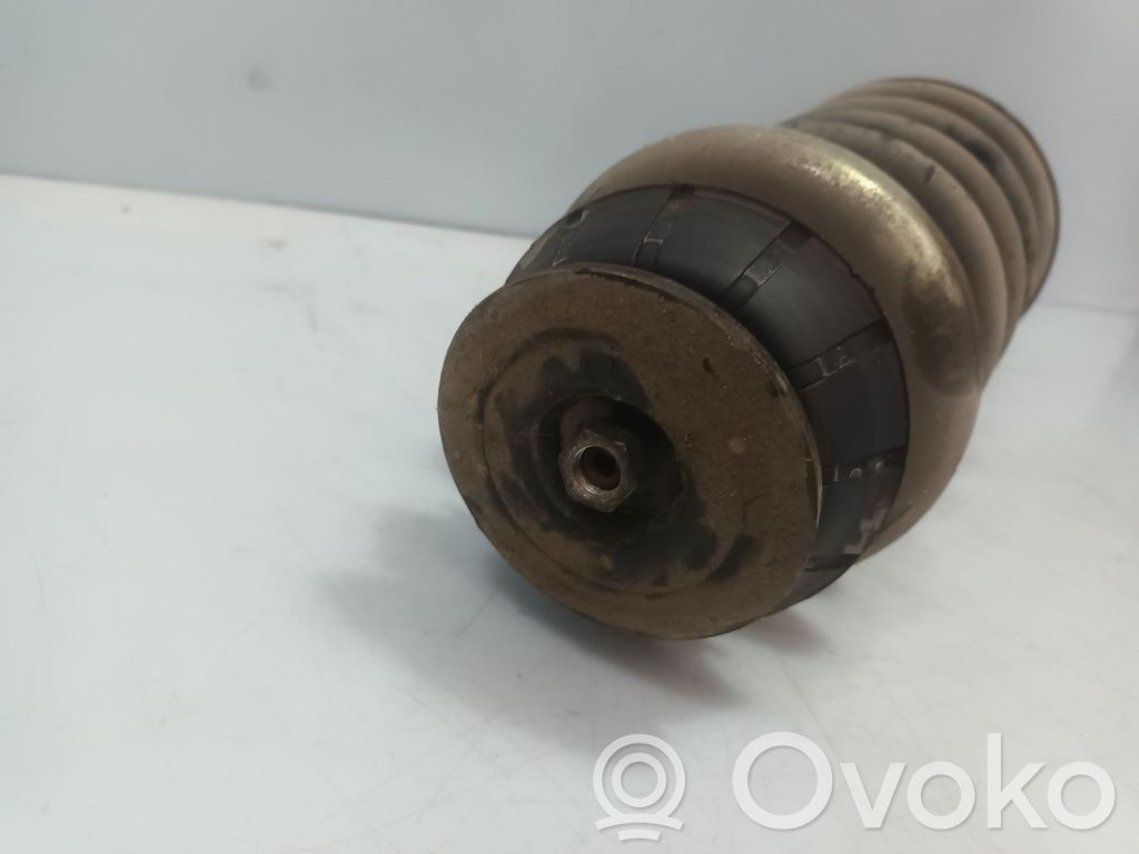 Stoßdämpfer vorne   4160279JF2
