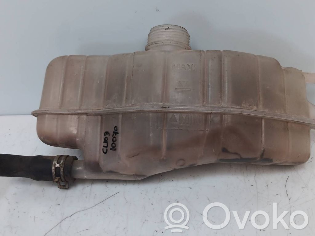Renault Clio III Vas expansiune/rezervor lichid de răcire 