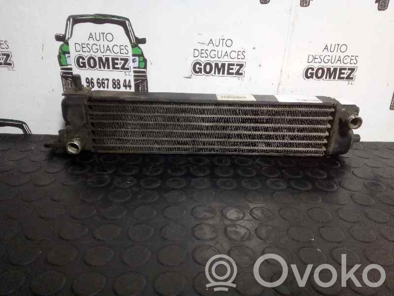 Opel Omega B2 Radiatore del servosterzo 