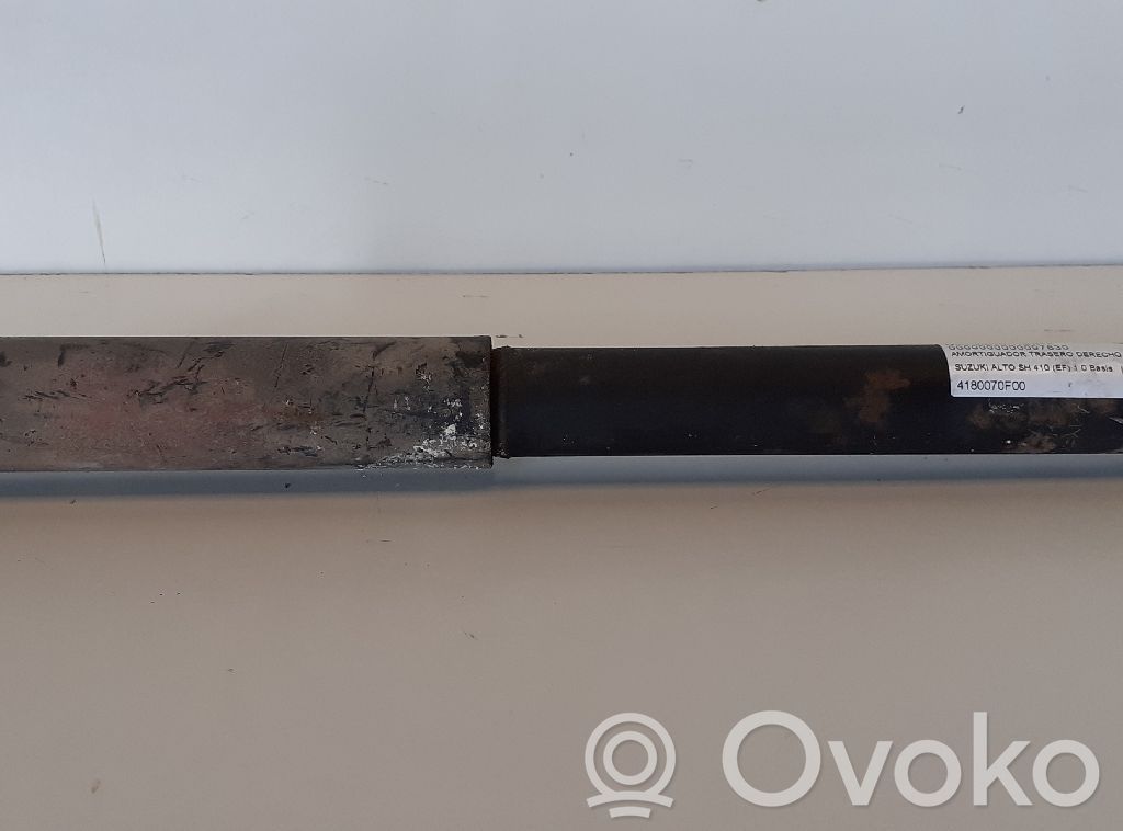 Amortizor spate   4180070F00