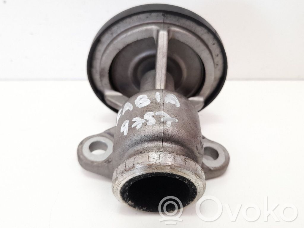 Skoda Fabia Mk1 (6Y) Valvola EGR
