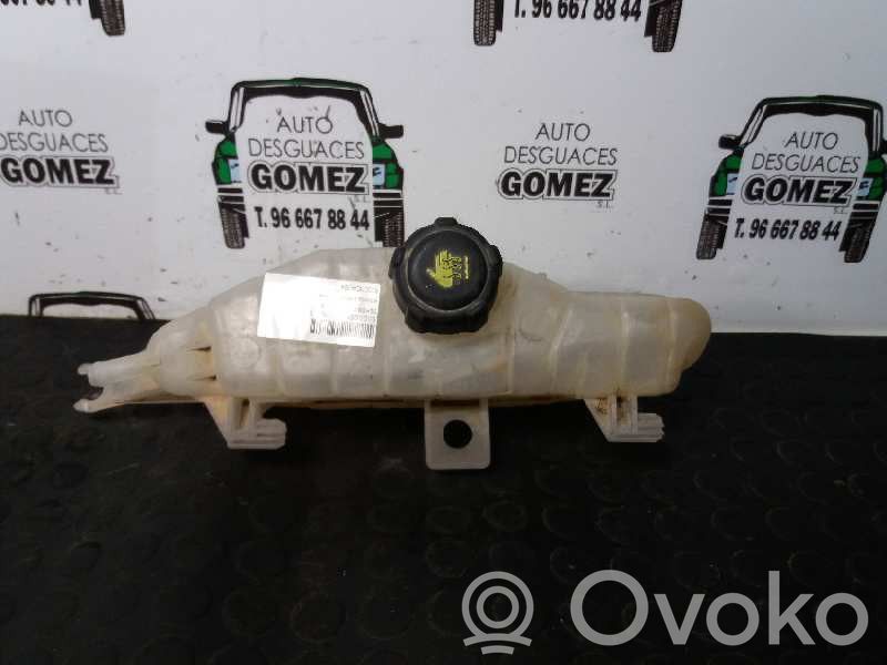 Renault Clio III Vase d'expansion / réservoir de liquide de refroidissement 