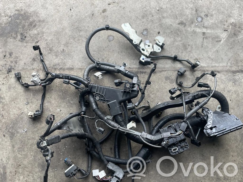 Engine installation wiring loom