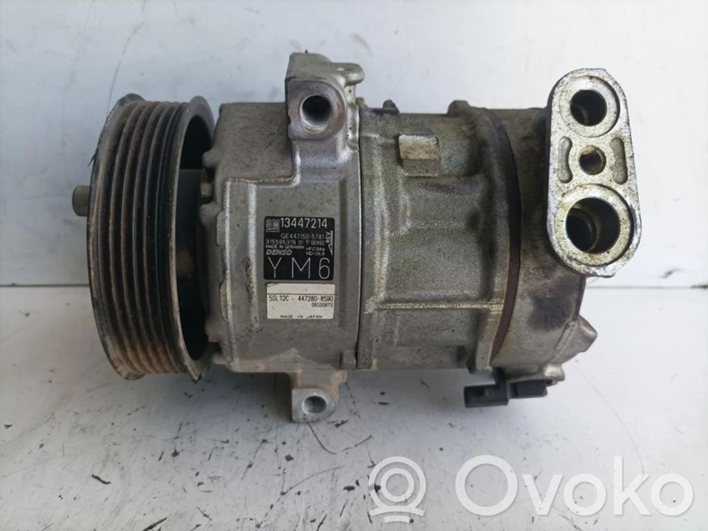 Klimakompressor Pumpe   13447214