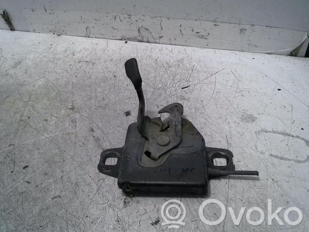 Tie down hook / loop   311A0A
