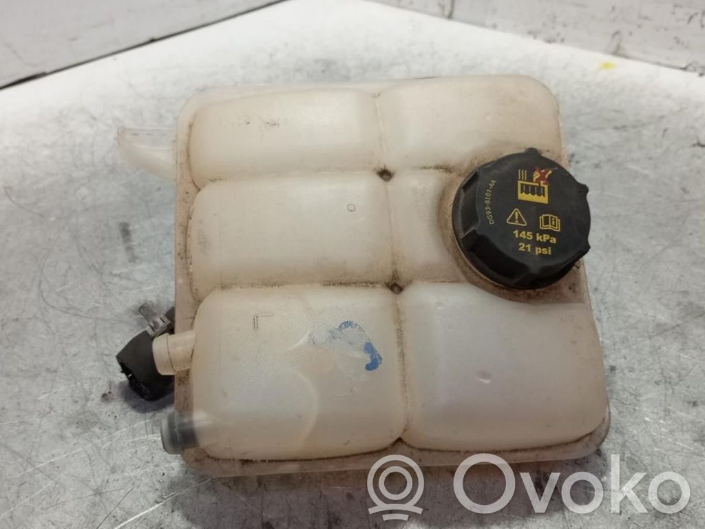 Ford Focus Vaso di espansione carburante