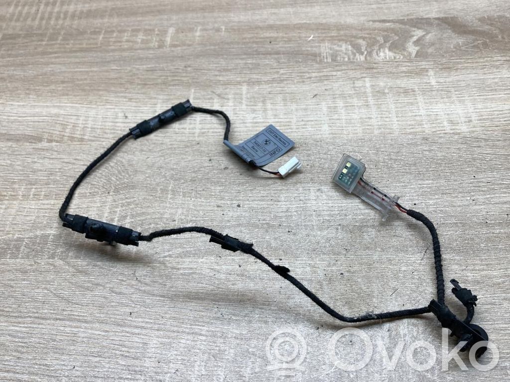 BMW 3 E90 E91 Luce maniglia portiera anteriore (esterno) 