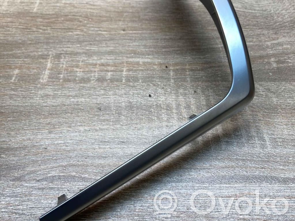 Moldura del panel (Usadas)   5196100,RH