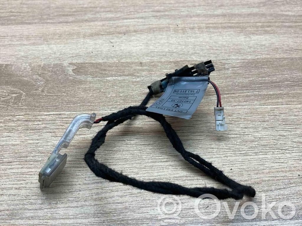 Lampka zewnętrzna przedniej klamki   7163511,DOORHANDLELIGHTING