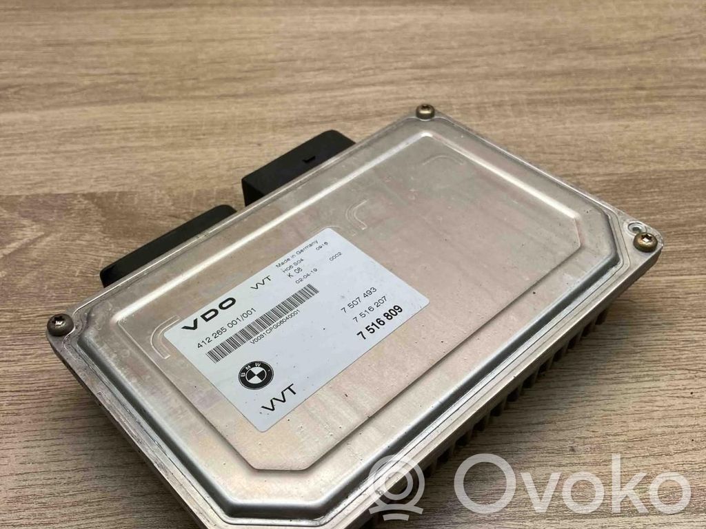 Motorsteuergerät ECU   7516809,7516207,7507493