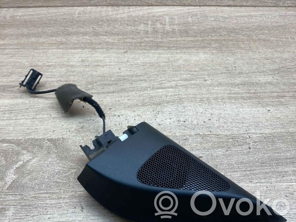 Volkswagen PASSAT B6 Tweeter ușă față 
