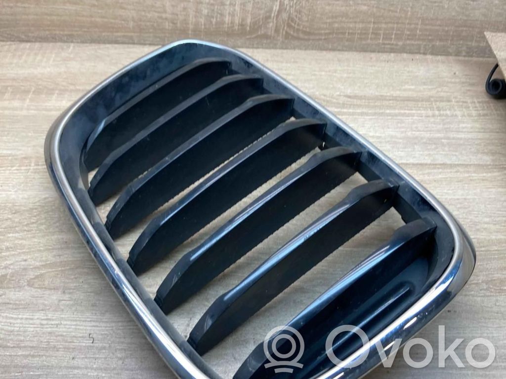 BMW X3 G01 Kühlergrill 