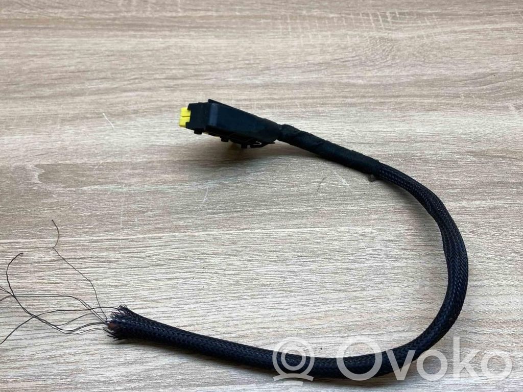 Plug wire   8369719,968477