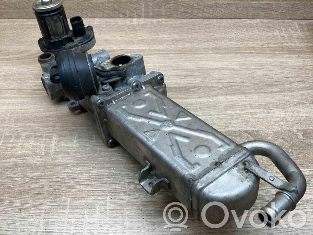 Volkswagen PASSAT B7 Valvola di raffreddamento EGR 