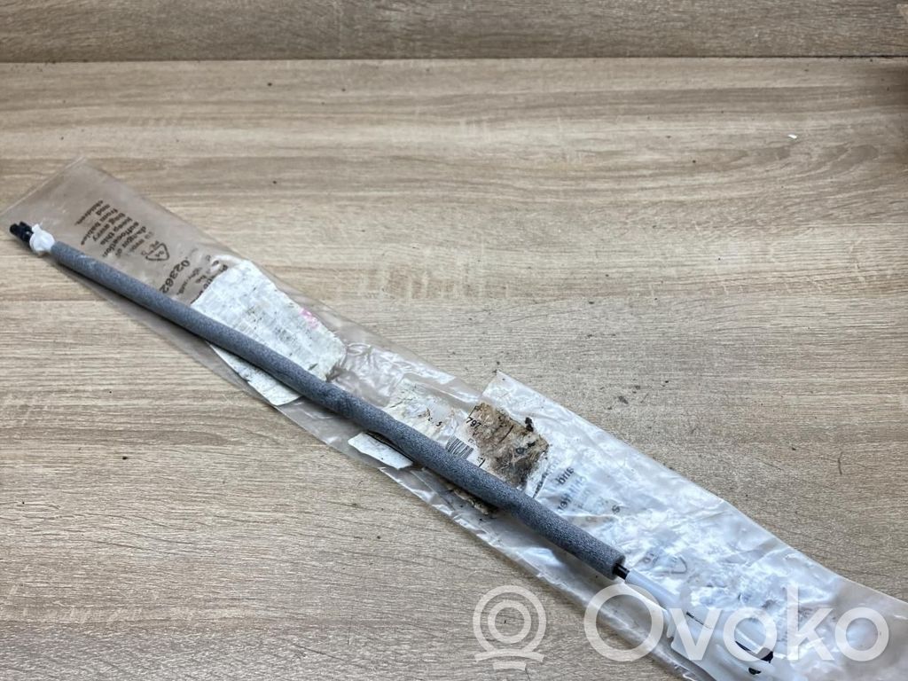 Línea de cable de puerta trasera   51218213797