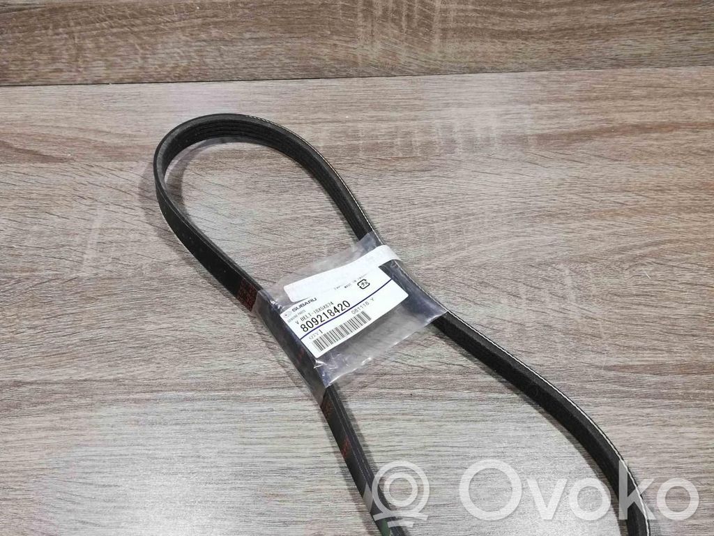 Subaru Outback Cinghia dell’alternatore