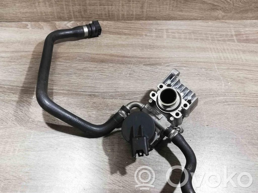 EGR vožtuvas   7548415