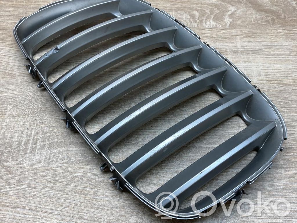 BMW X5 E53 Grilă radiator față 
