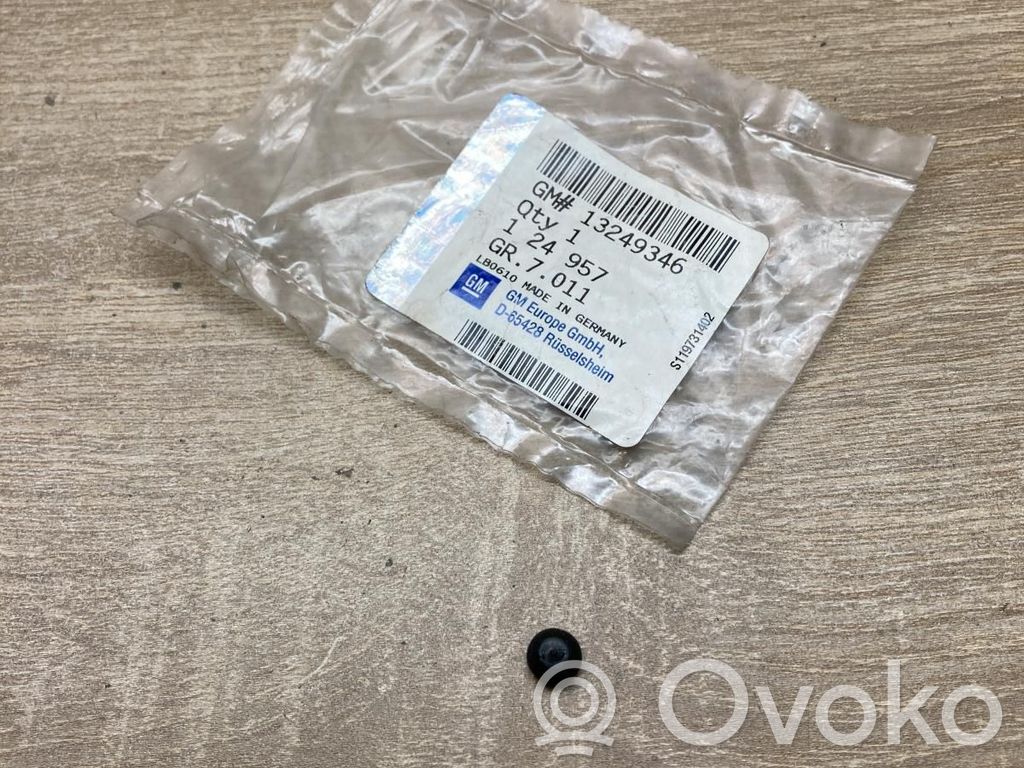 Muu korin osa   13249346,124957