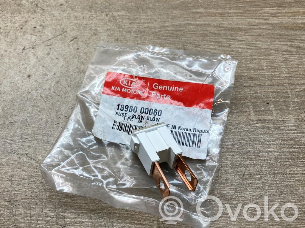Hyundai Sonata Fusible