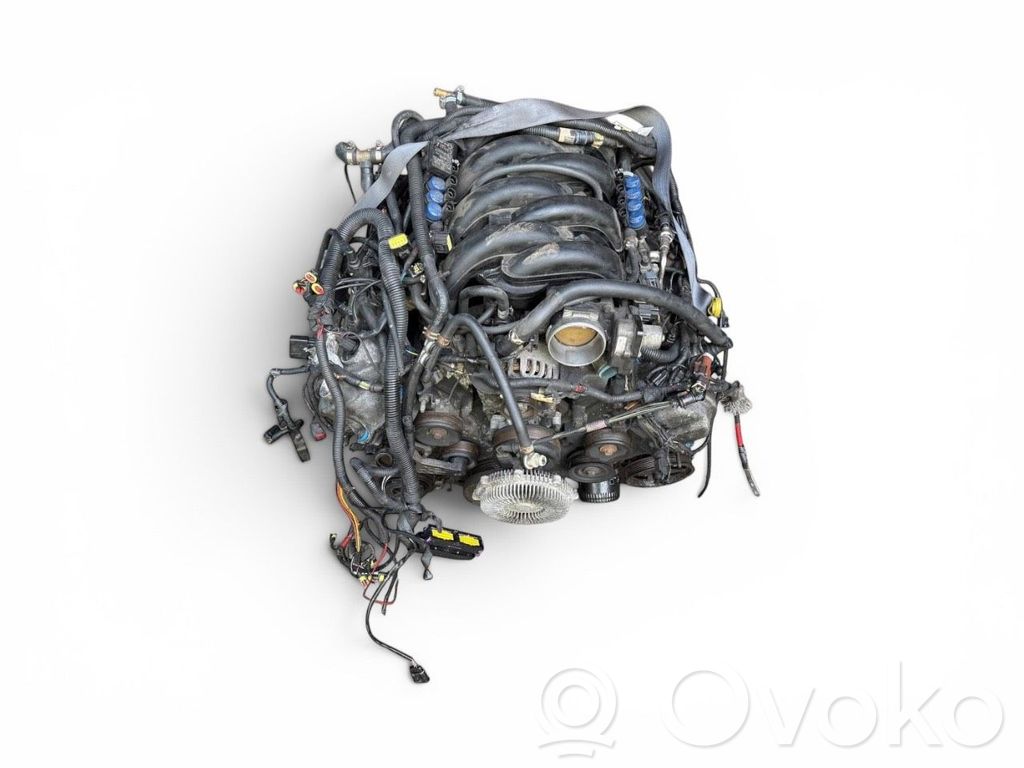 Variklis   6S302AA,E1900070905