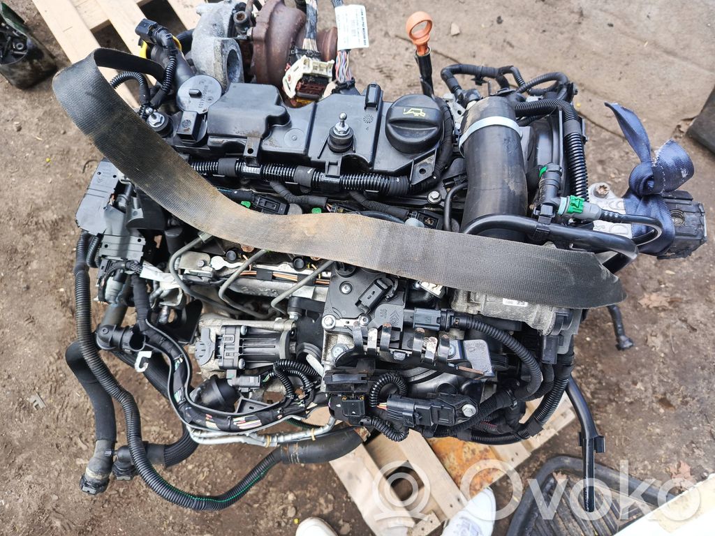 Peugeot 5008 Motore 