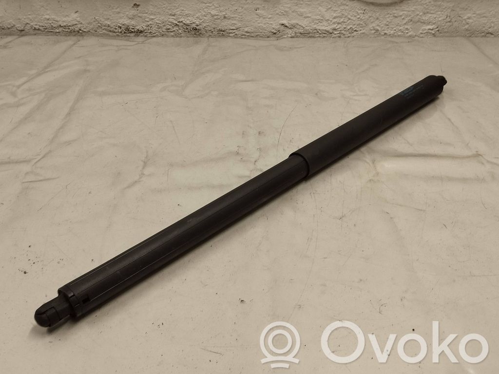 Tesla Model S Tailgate/trunk strut/damper 