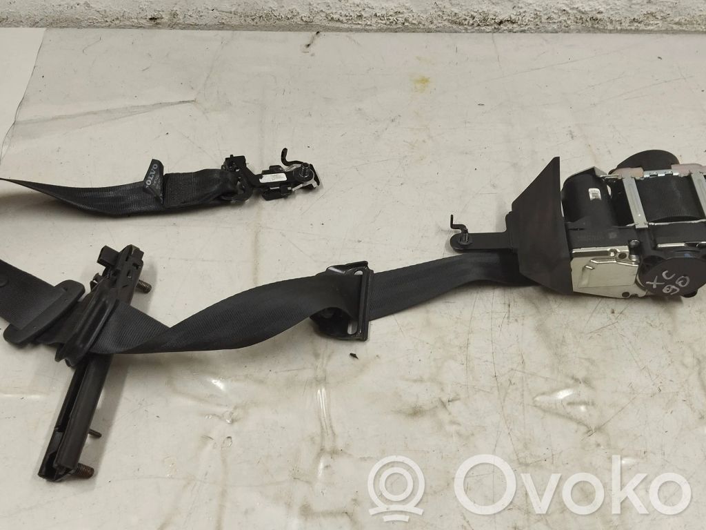Cinturón delantero   31675232