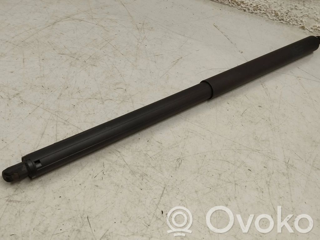 Tesla Model S Tailgate/trunk strut/damper 