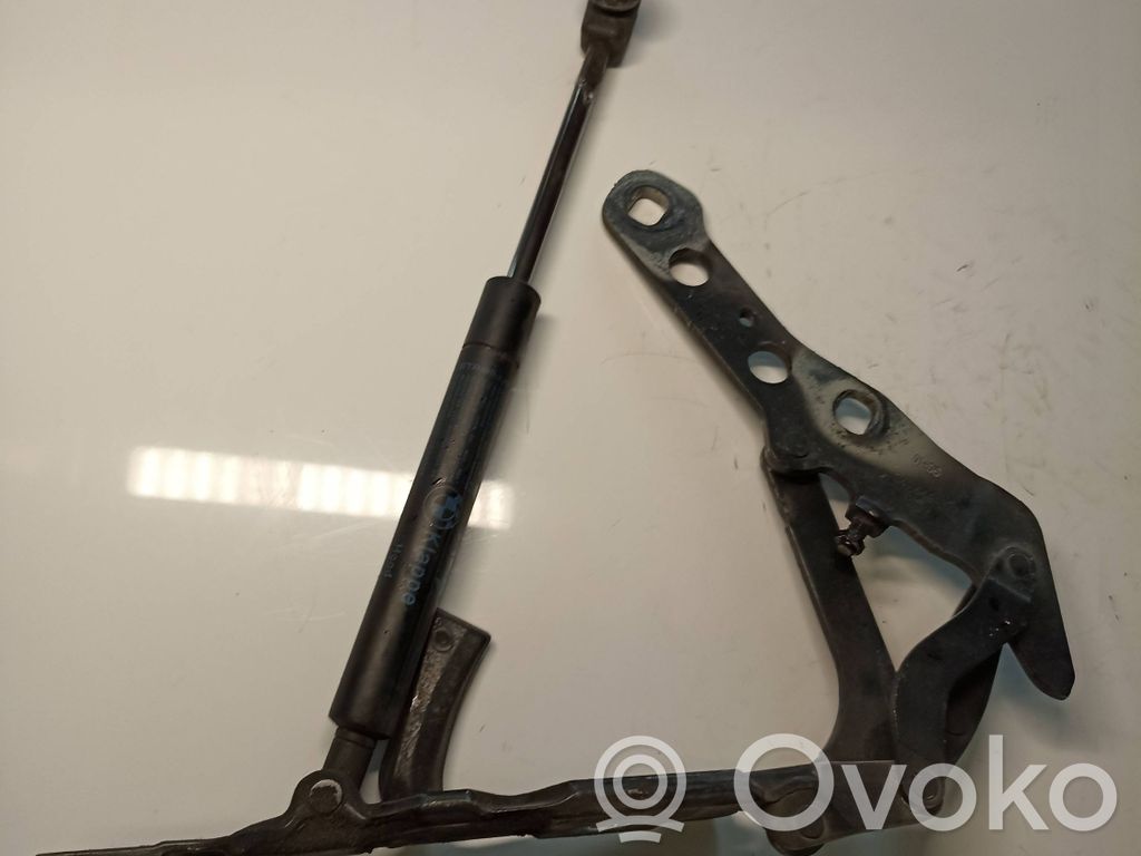BMW X3 E83 Vyris (-iai) variklio dangčio 