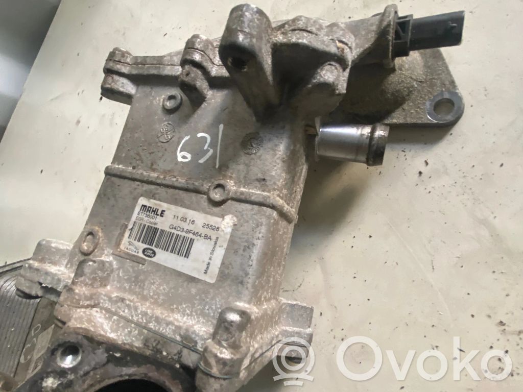 Land Rover Range Rover Evoque L538 Chłodnica spalin EGR 