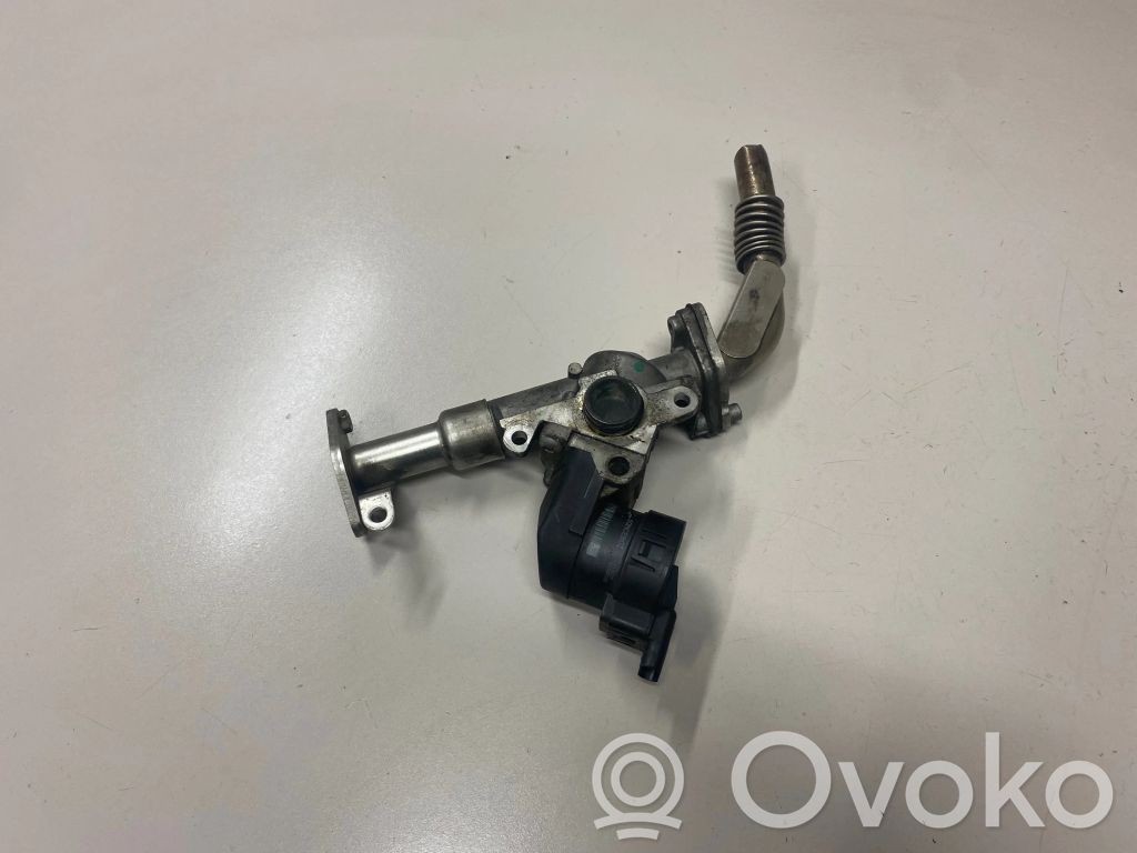 EGR vožtuvas   7563241,224609025