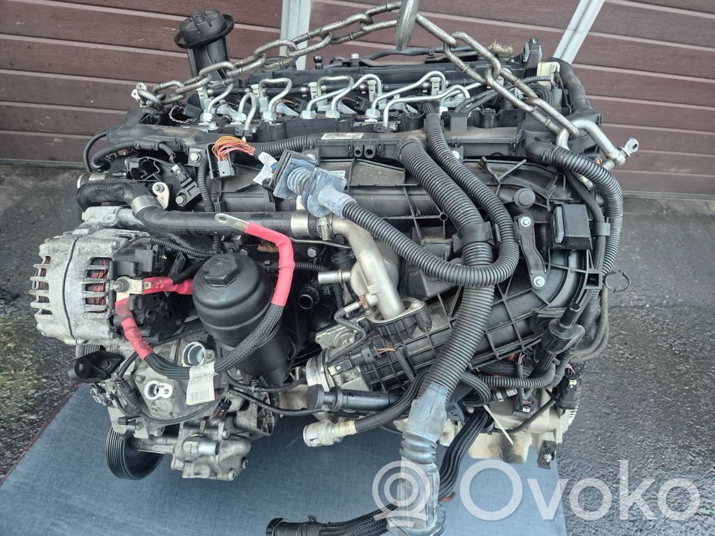 Variklis   N57D30A