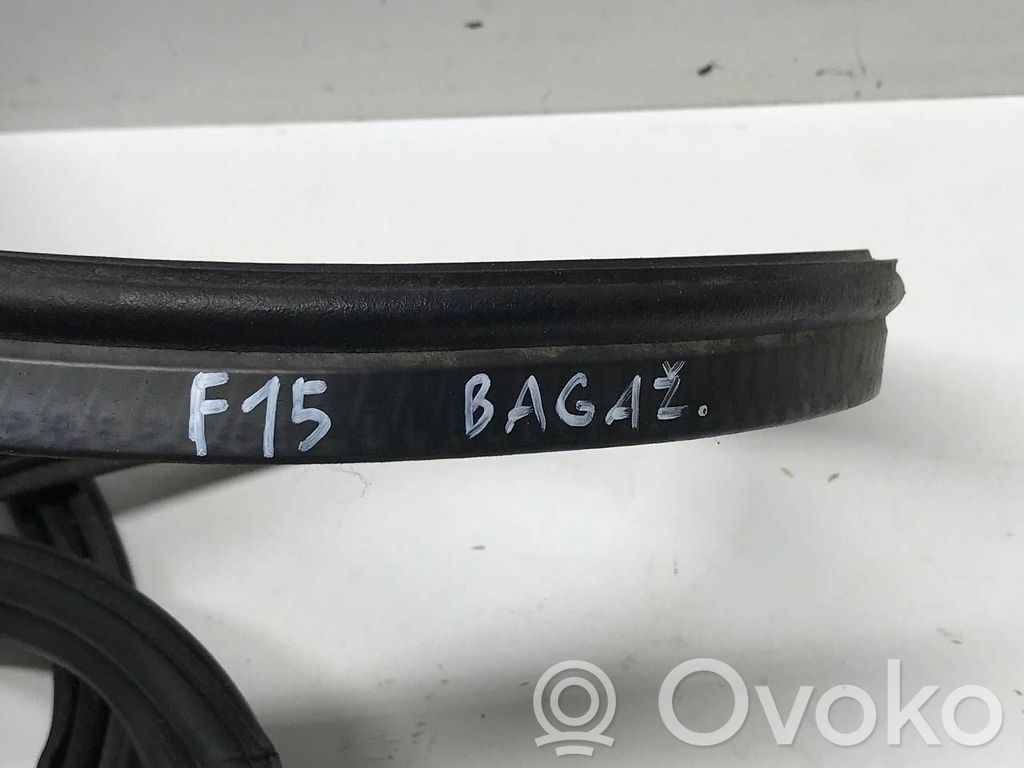 BMW X5 F15 Cheder portbagaj (caroserie) 